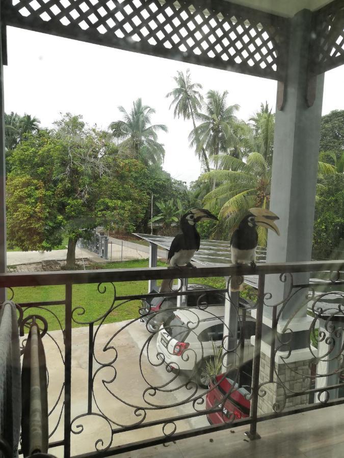 Darney'S Homestay Kg Bangau Tanjung Temerloh Exterior foto